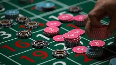 223 bet