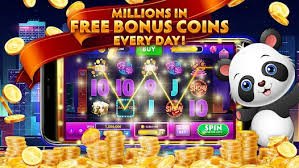 223 bet