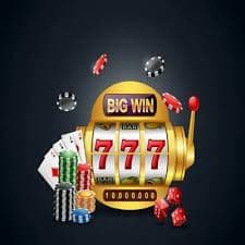 223 bet