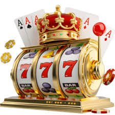 223 bet